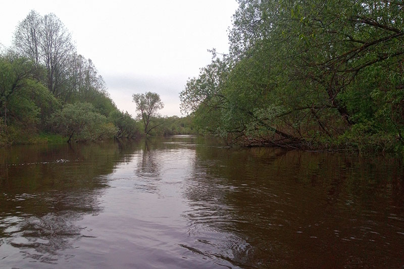 Река Дубна после Константиново
