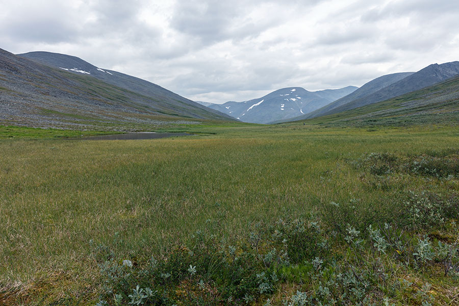 Вид с пер. Ледниковый (н/к) на долину руч. Ледниковый